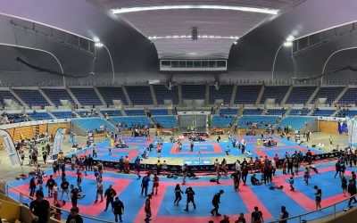 Arranca la Kickboxing Stars League en Santander